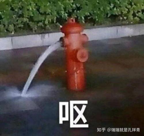 孙悟空吃瓜表情包,笑翻三界的欢乐源泉